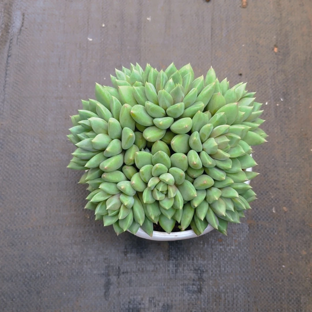 亦寒发货1111111111111