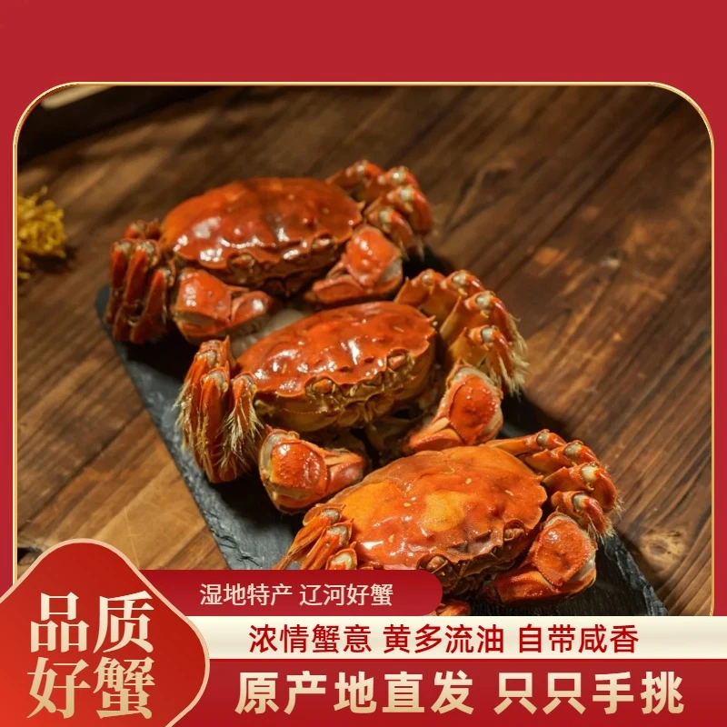【活蟹】盘锦河蟹 公蟹 1.6-1.4两/只 2斤/3斤 （16-24只）鲜活发货