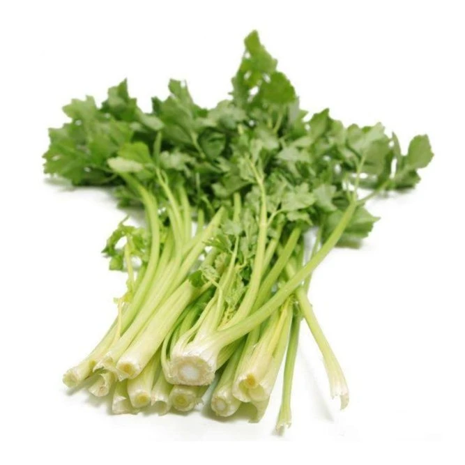 芹菜苗约300g
