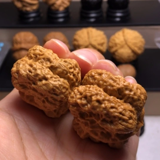 文玩核桃把件霸王龙脊7