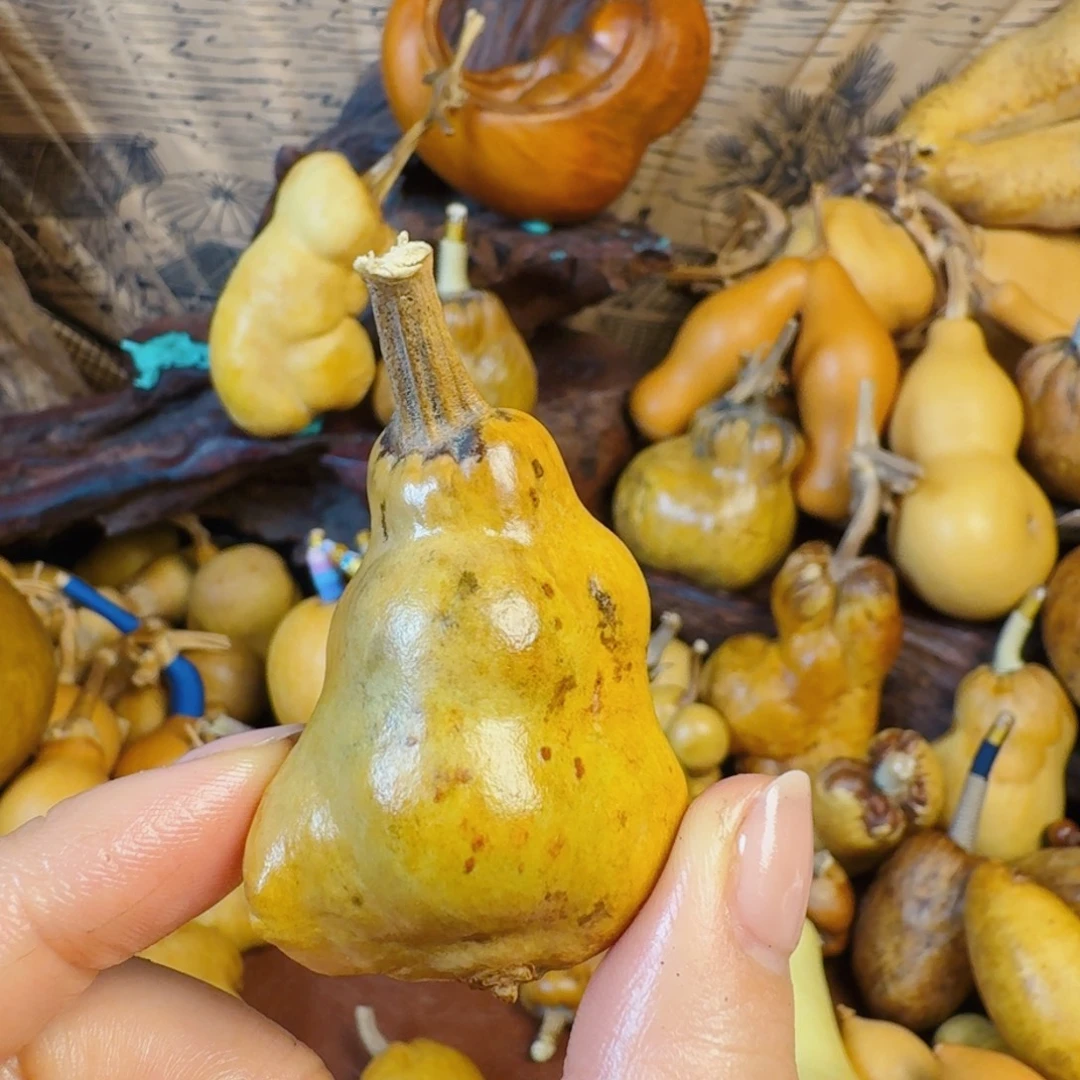 焱***曦是哈哈哈哈生生世世青浦区