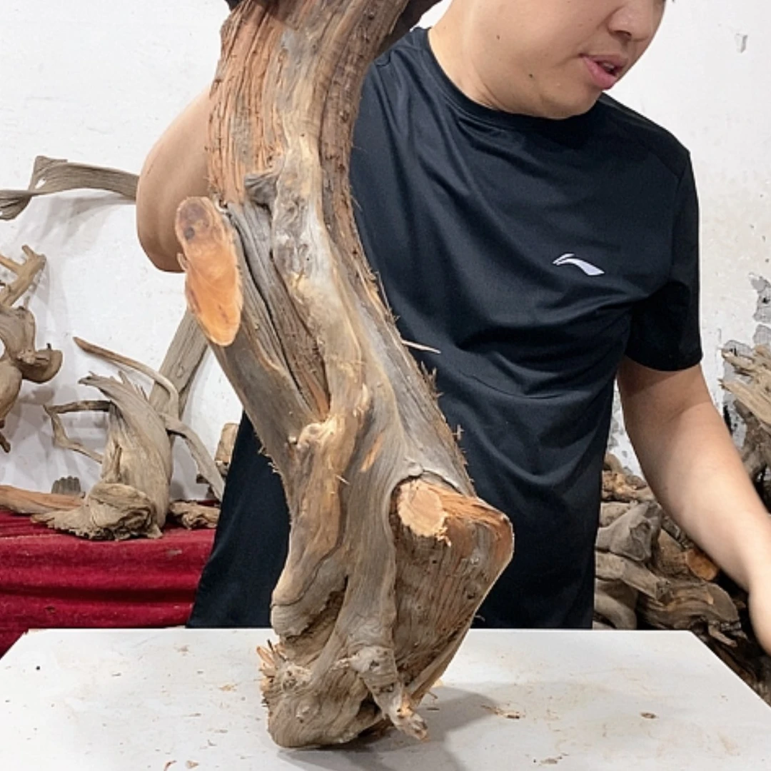 【闪购商品】柏木听**叶我们都在努力着改变自己和别人
