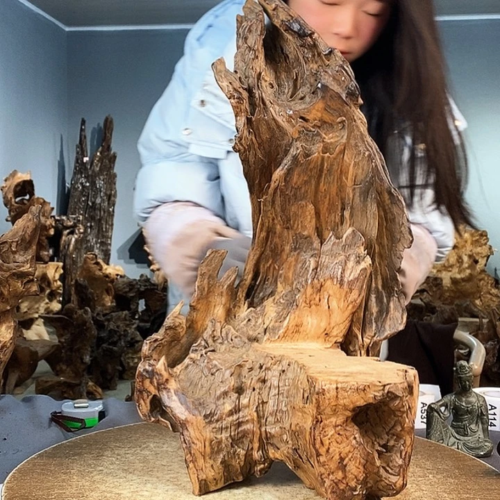 茶盏龙*天533株木随行的根艺