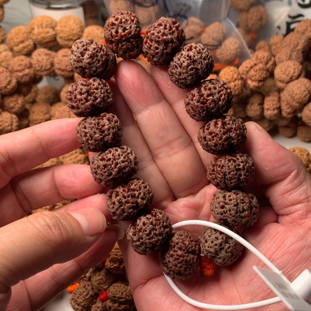 金刚菩提手串22五星蜂王超头