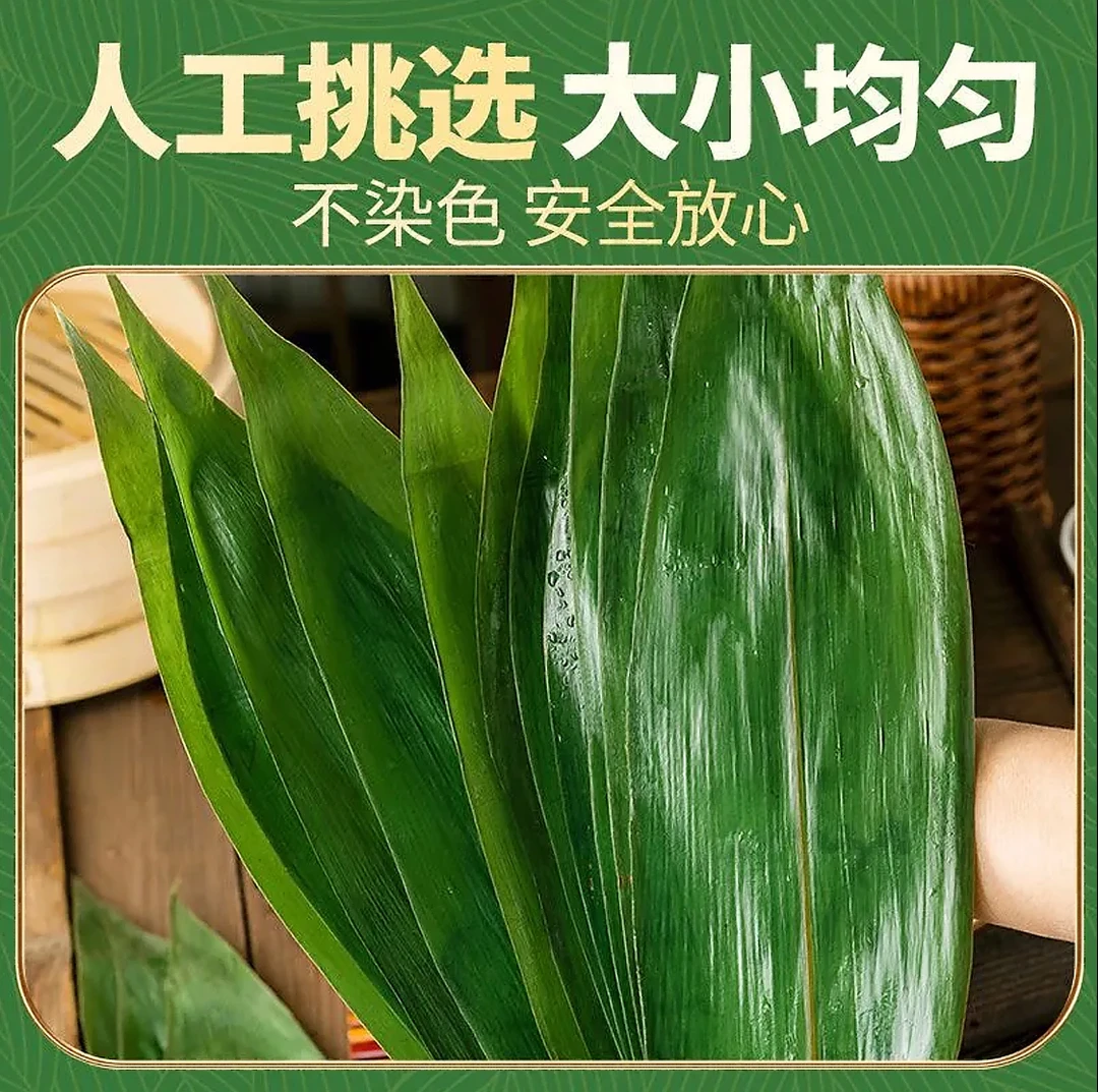 新鲜粽叶现摘现发大粽子叶粽叶若叶箬叶端午节包粽子叶家用粽叶