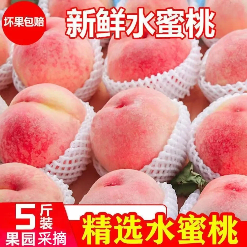 水蜜桃 新鲜现摘 脆甜可口 应季水果 快递顺丰