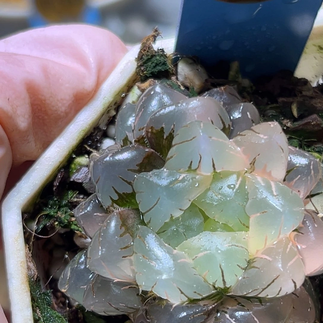 恭喜发财大吉大利678