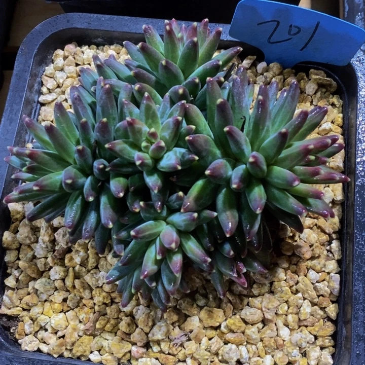 你说是谁就让我们等