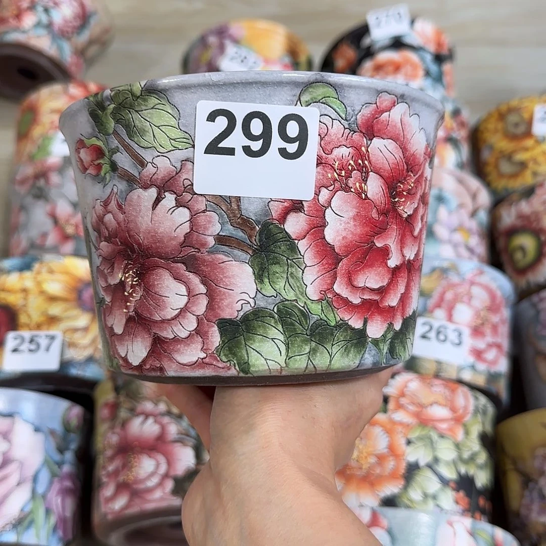 红陶小*迷75522222223366