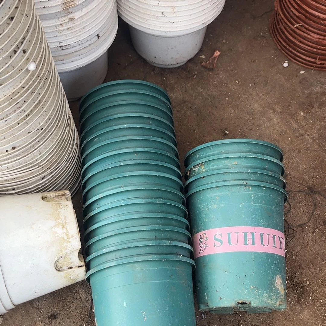 旧口径12高12绿加仑盆30个