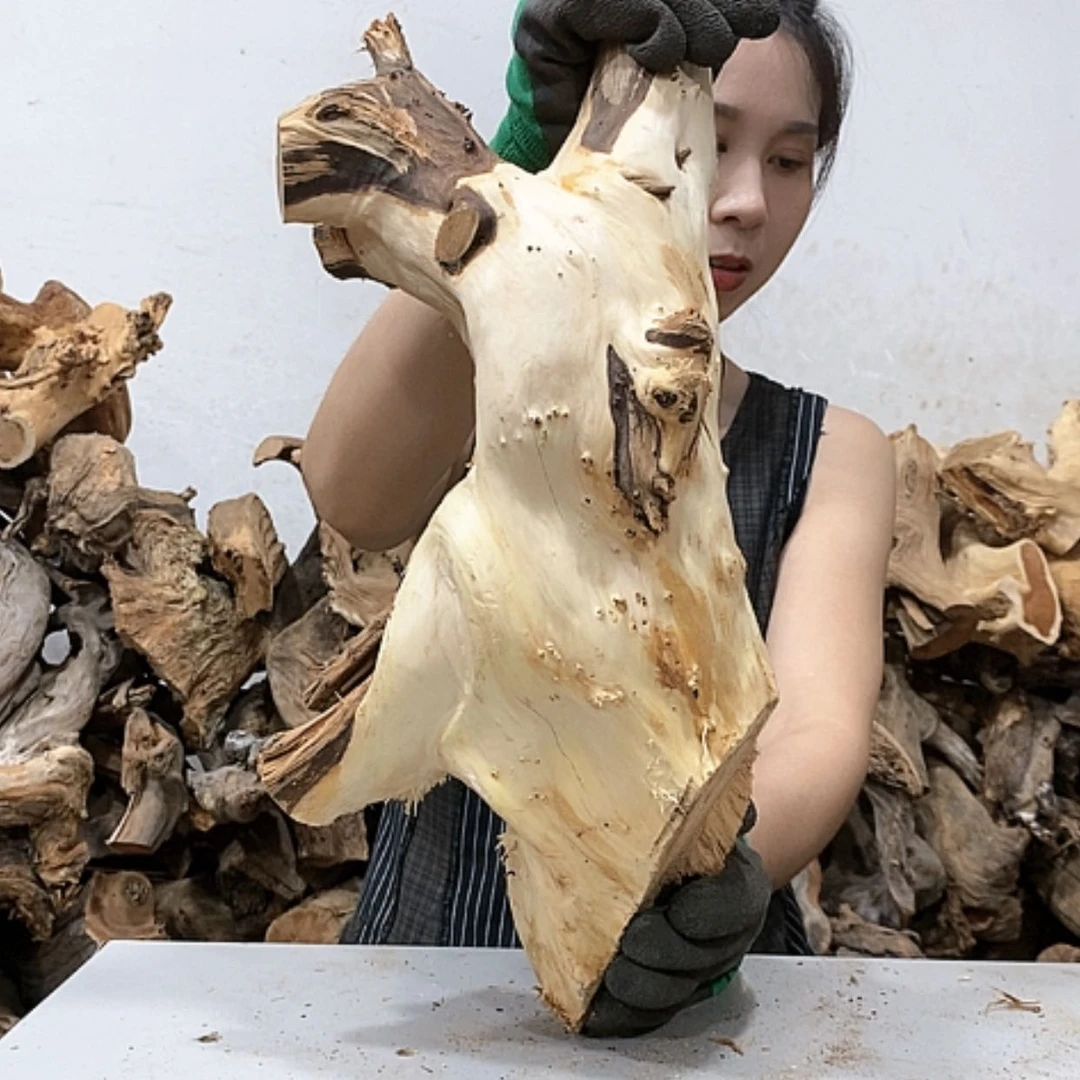 【闪购商品】柏木小*我们都是好孩子