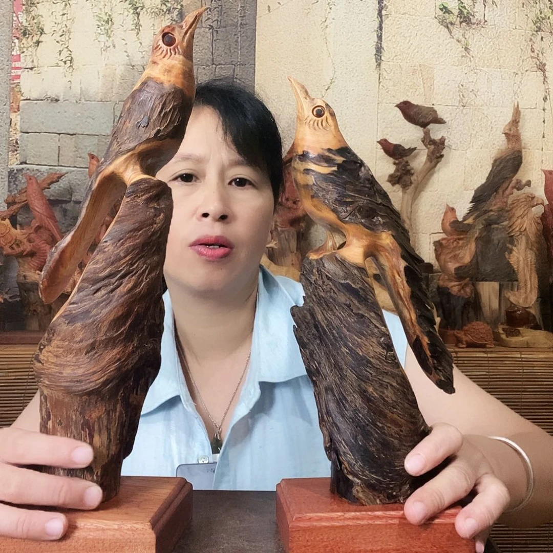 松木琥珀木报喜鸟