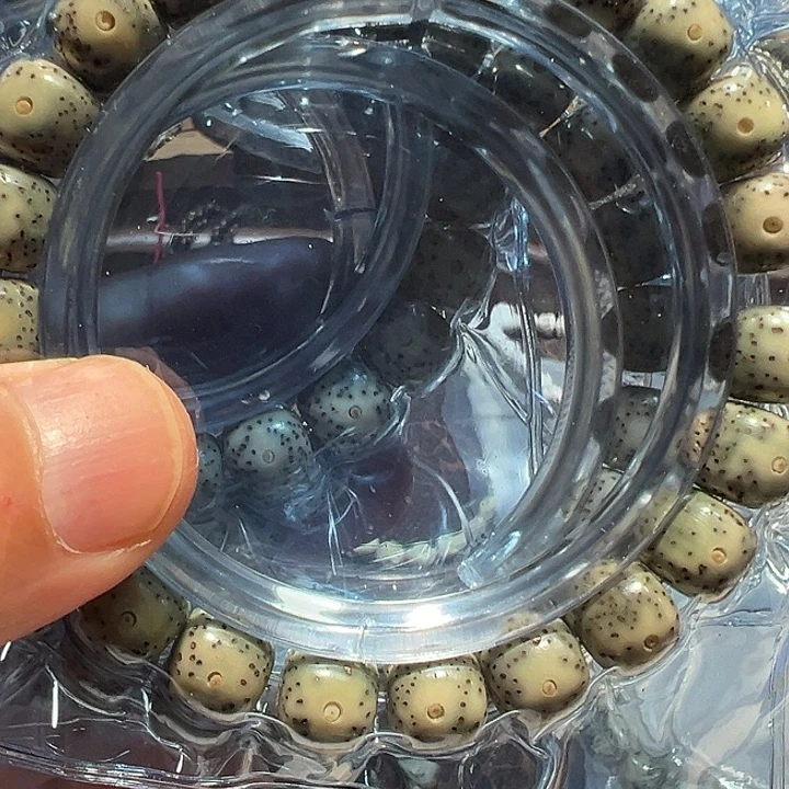 星月菩提手串福利