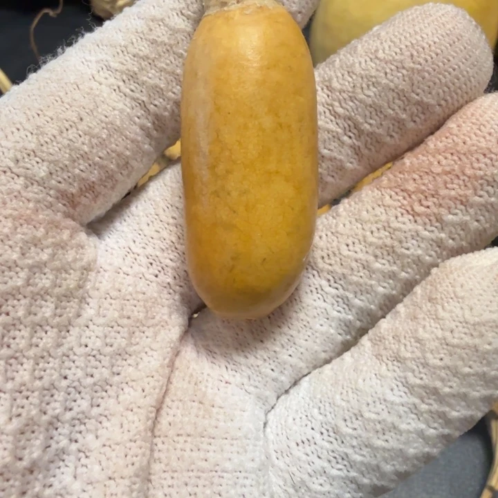 一***布66666666776777777777