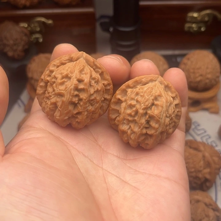 山***.38尺寸全品有黄点白狮子