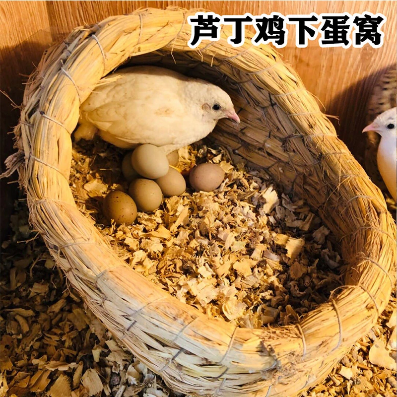 芦丁鸡草窝造景用品芦丁鸡下蛋窝草编专用鸡窝鹌鹑小鸡造景保暖窝