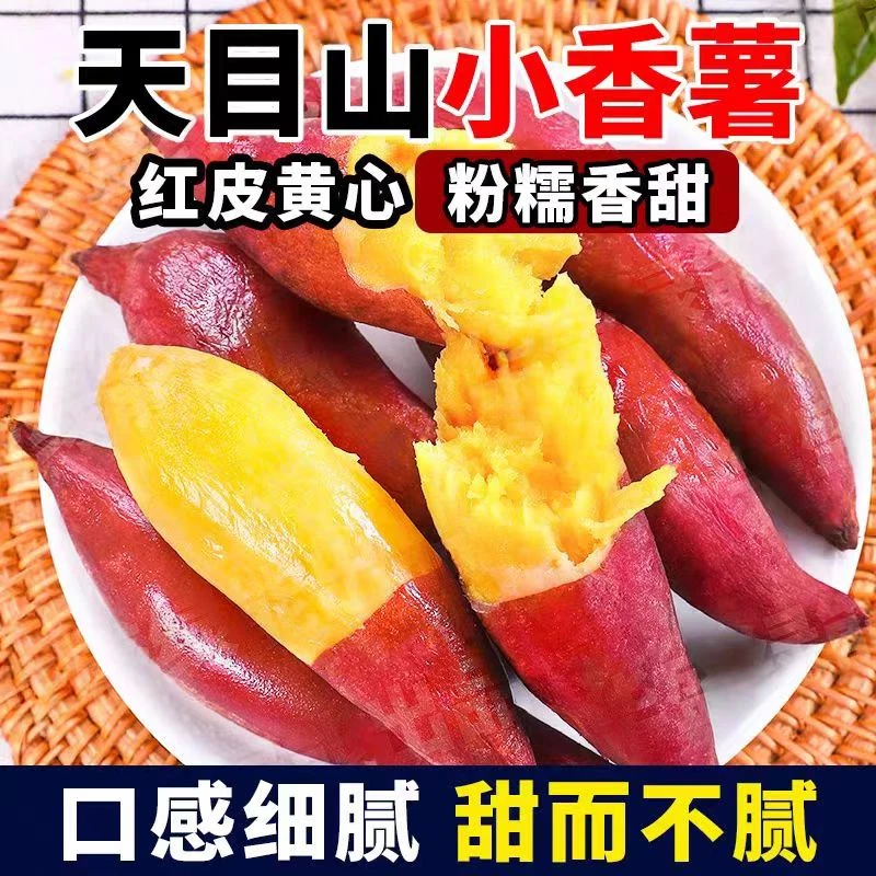 【特价3斤小香薯】天目山小香薯香甜粉糯地瓜小红薯新鲜蜜薯1-5斤