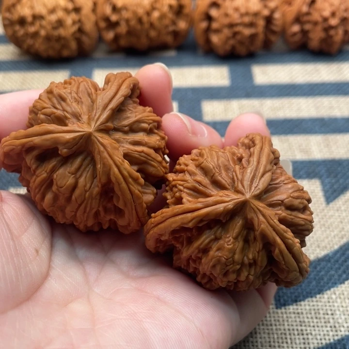 老***闹核桃白狮子核桃核桃