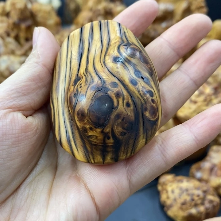 柏木（崖柏）崖柏888