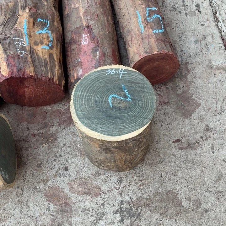 绒质巴拉圭绿檀木