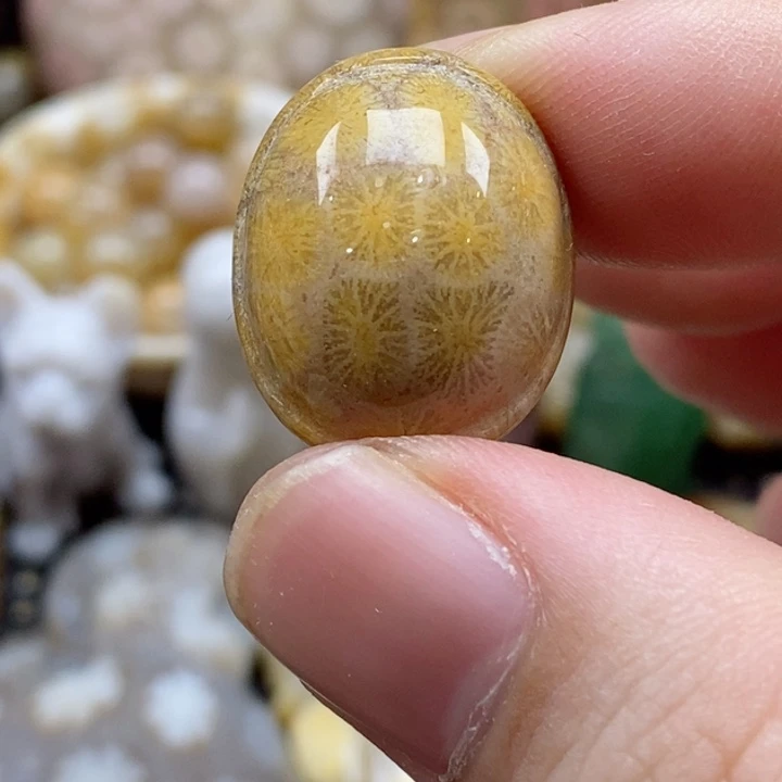 硅化珊瑚（珊瑚玉）颈饰未镶嵌噹*