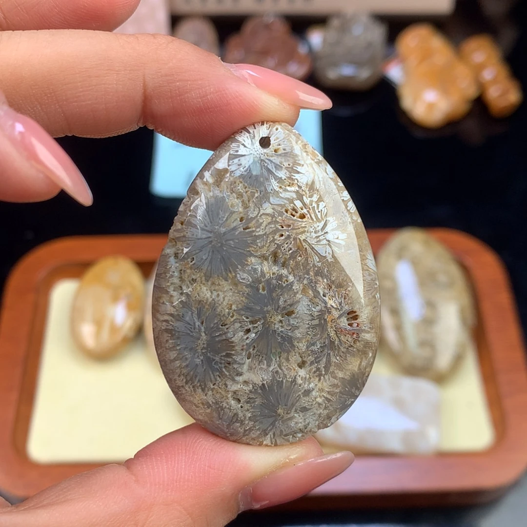 【闪购商品】硅化珊瑚（珊瑚玉）未镶嵌颈饰1号上新吊坠