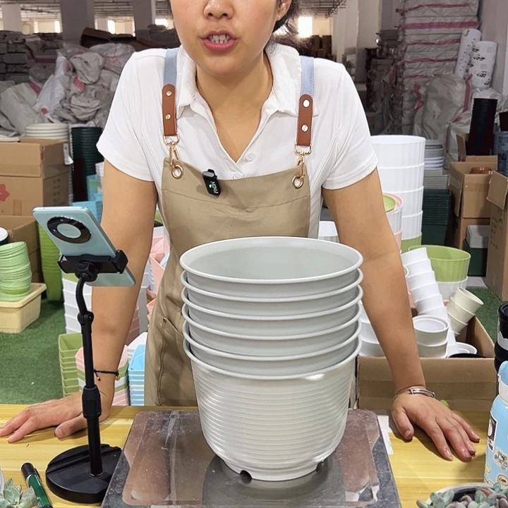 矮陶口21高15米灰无托6只
