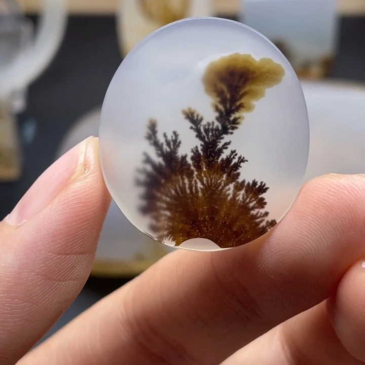 海***洋玛瑙/玉髓未镶嵌颈饰