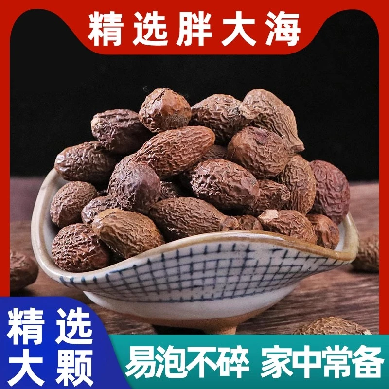 正品野生胖大海新货大果易泡发中药材饱满干净胖大海罗汉果茶