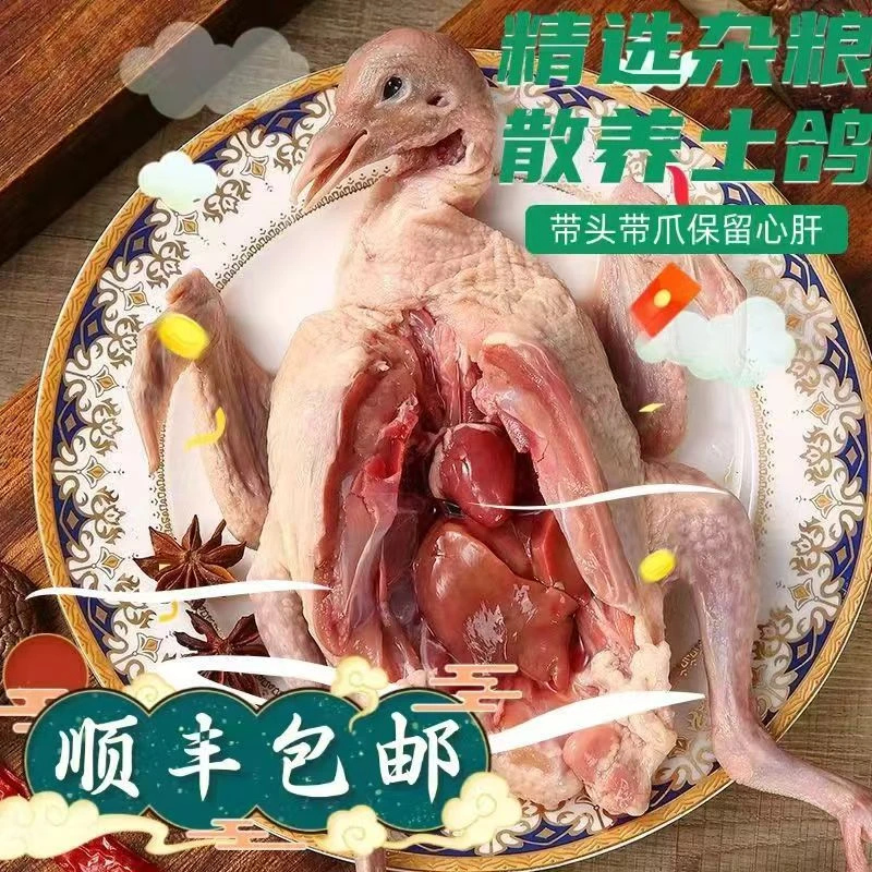 顺丰包邮【拍2只送2只】正宗农家散养土鸽新鲜宰杀鸽子肉G