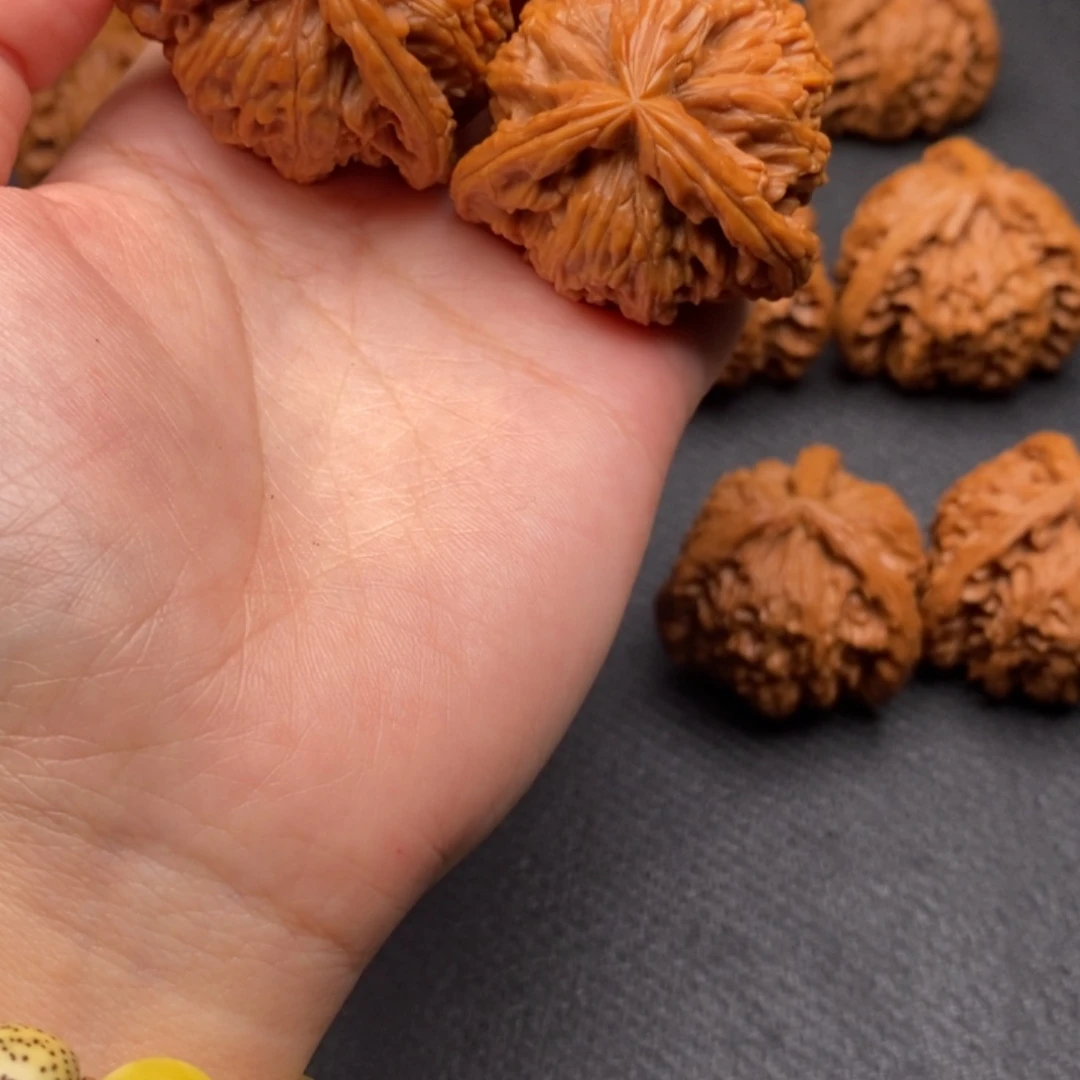 通****司白狮子11111111