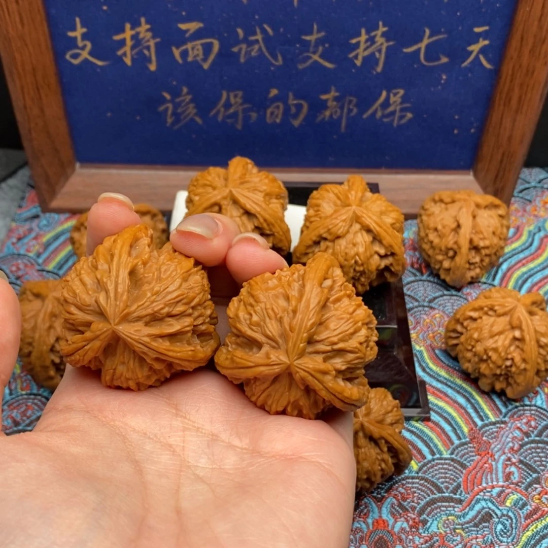 【闪购商品】摄*格白狮