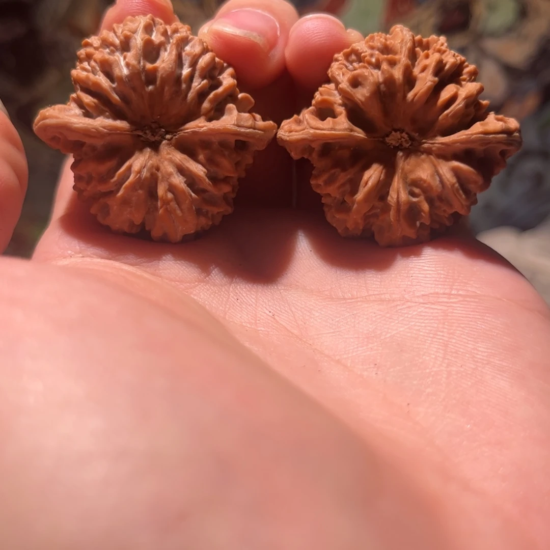 *****木质40百花山狮子头