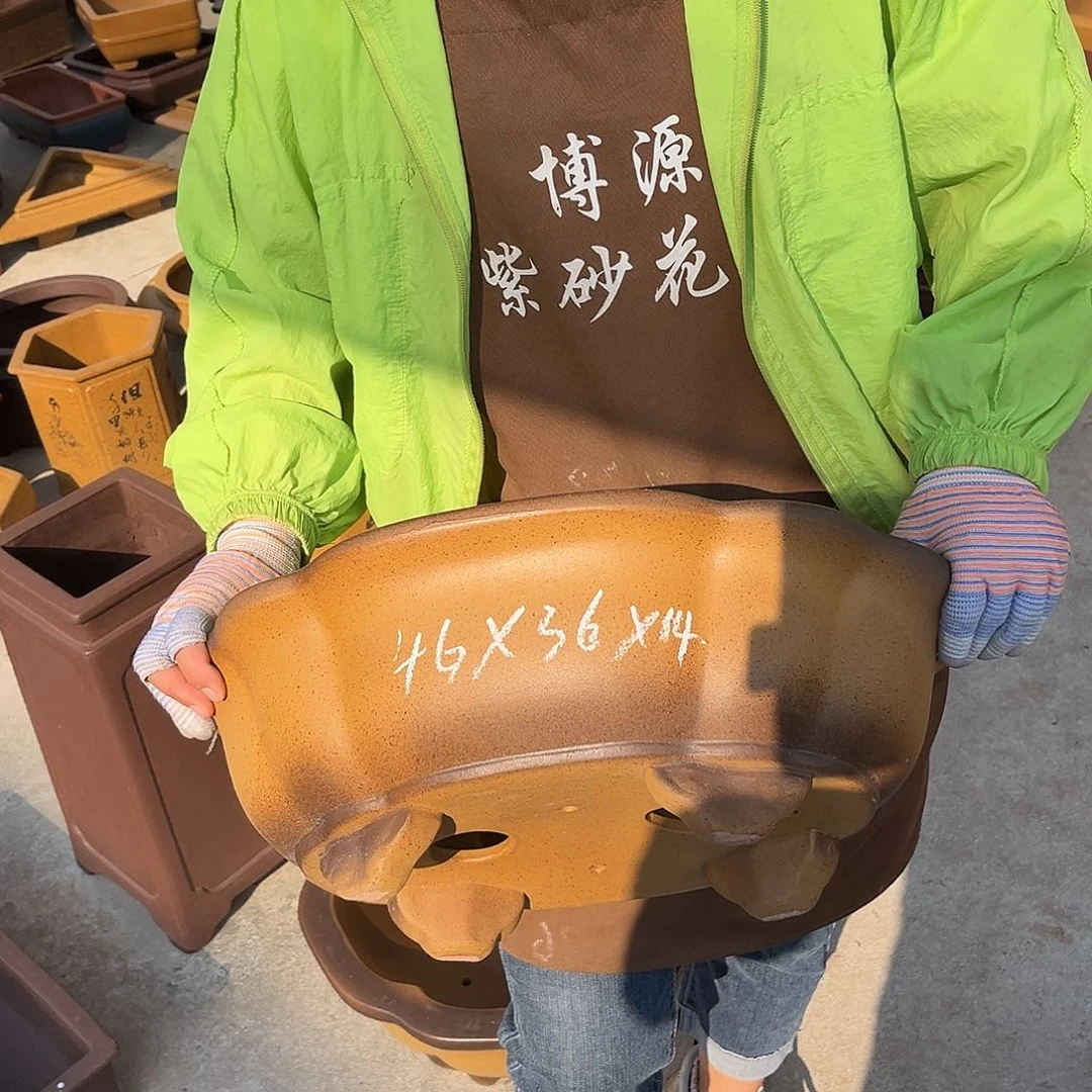 紫砂花盆盆景艺术