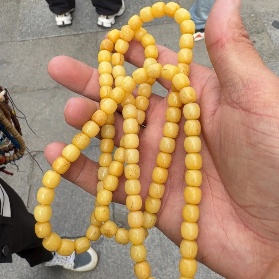 吊坠白玉菩提菩提树等树木的生长发育和