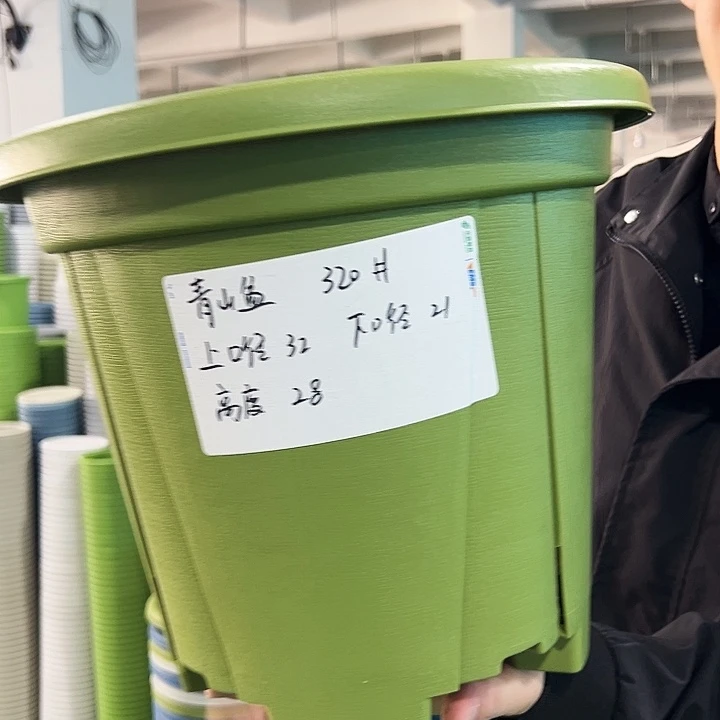 正品青山口32高28果绿无托5只