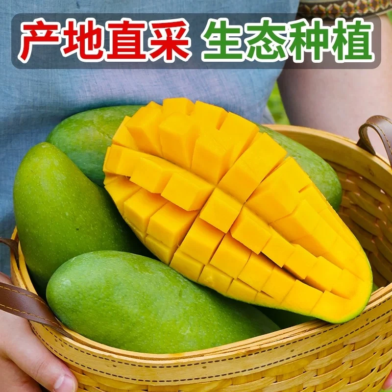 正宗大青芒当季新鲜热带4.5斤-9斤