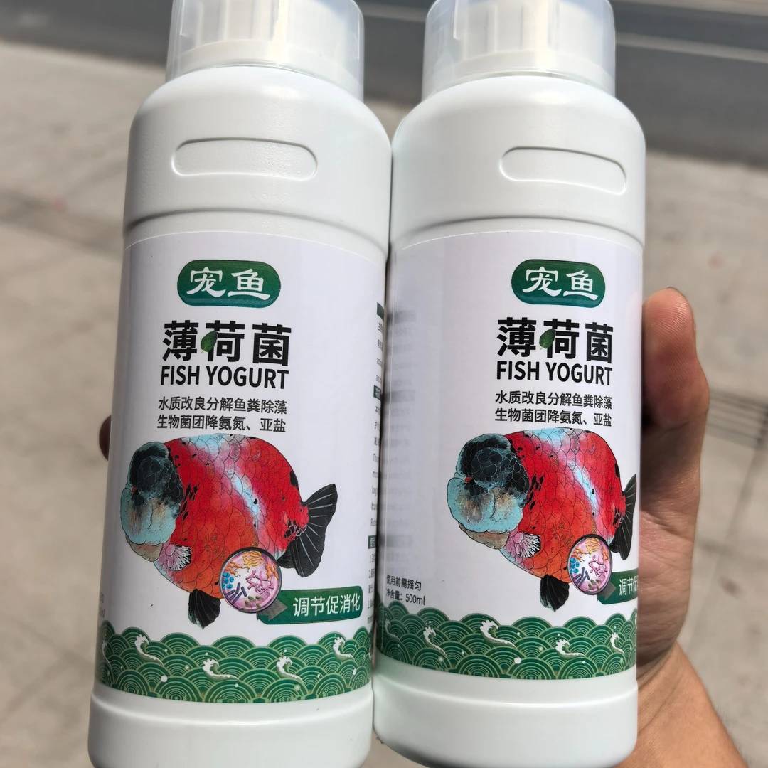 宠鱼薄荷菌500ml益生菌改良水质分解鱼粪富含有益菌