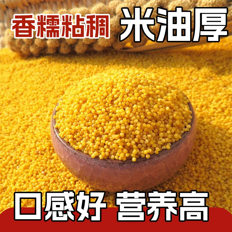 5斤东北黄小米粥米新正宗东北黄小米粥正宗五谷杂粮