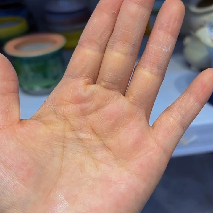 景德镇陶瓷研究所赠****深