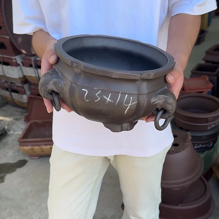 好喜欢看肖春阳演