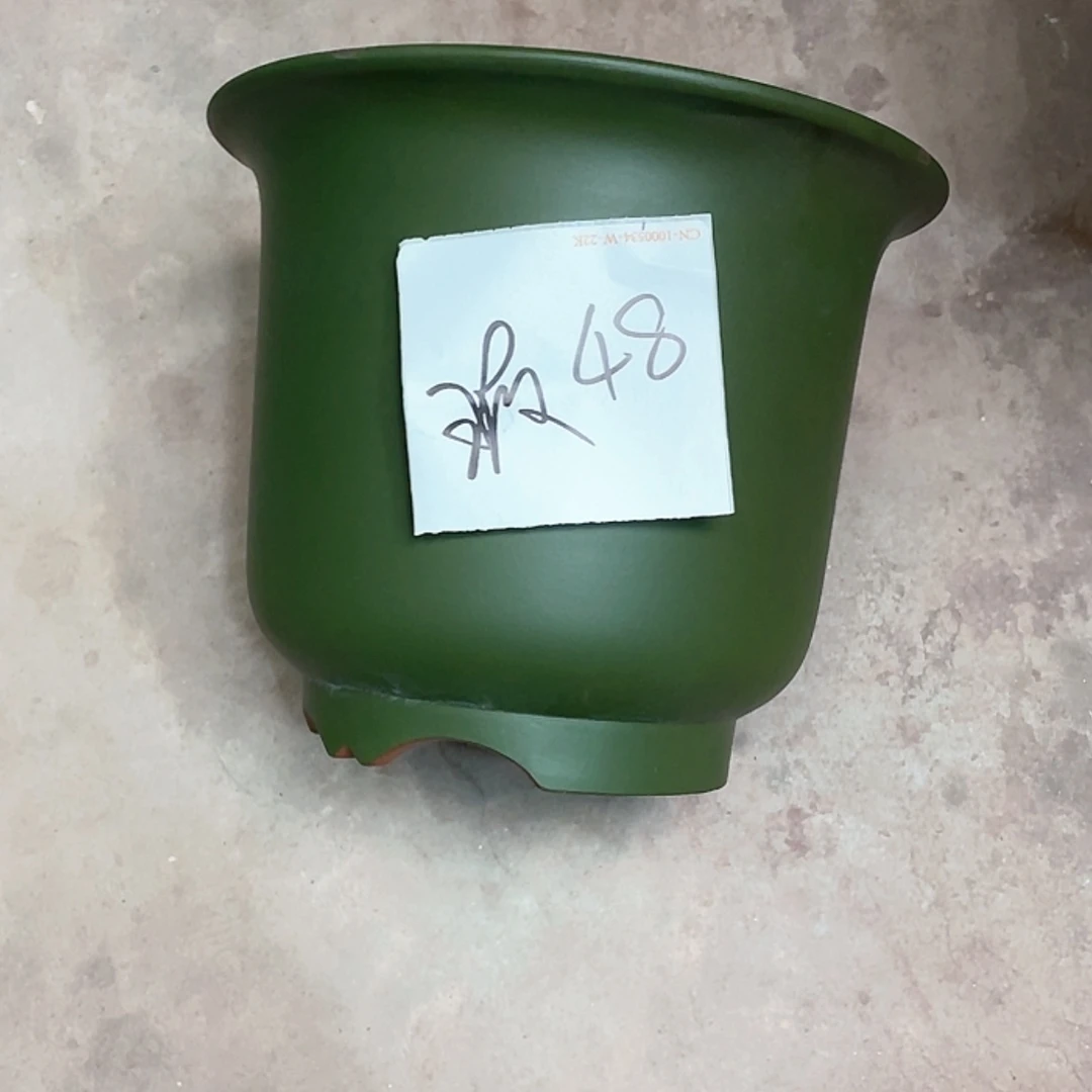 【闪购商品】紫砂花盆?****6兰花943464976377667976