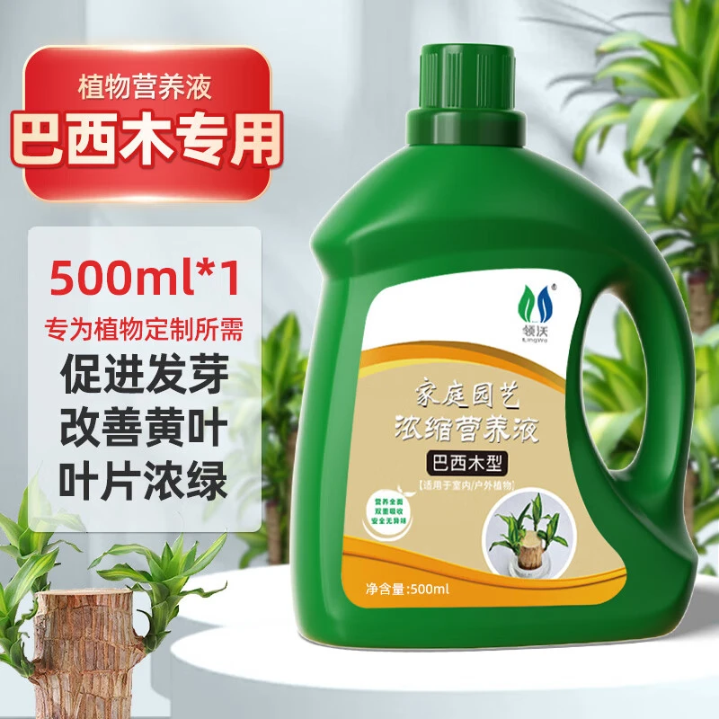 水培巴西木营养液植物通用型盆栽巴旦木幸运木巴西木专用肥料