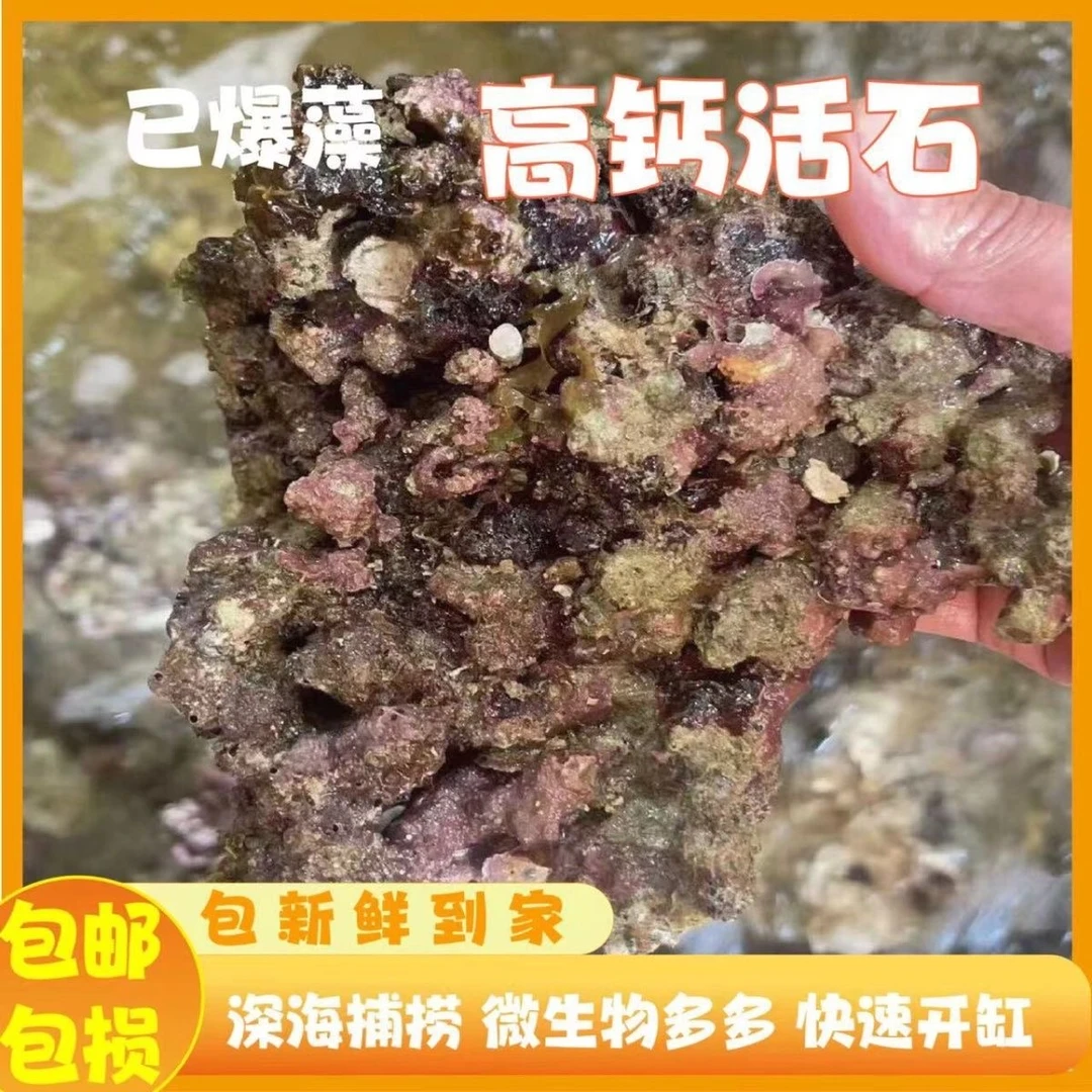 深海活石造景石头微生物