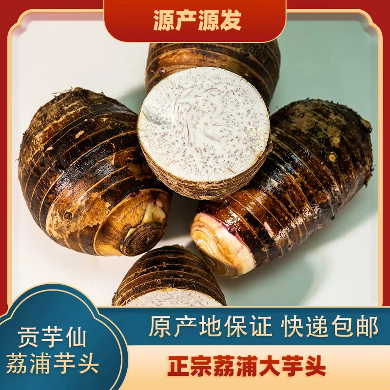 贡芋仙正宗广西荔浦芋头新鲜现挖粉香糯特产香芋皮薄粉嫩现挖现发