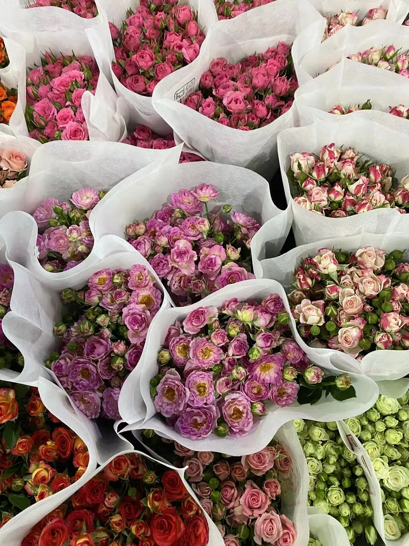 玫瑰链接 一单包邮 满3单升级发顺丰 正常损耗不售后