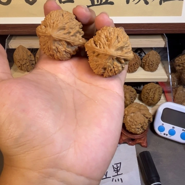 40.8皇家正圆全品