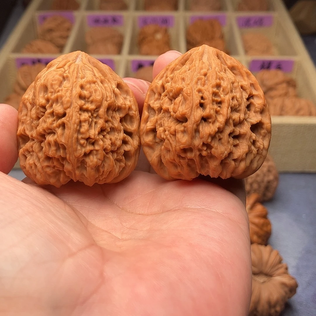 文玩核桃把件拉丝纹凹底南疆石狮子头41（头货精品