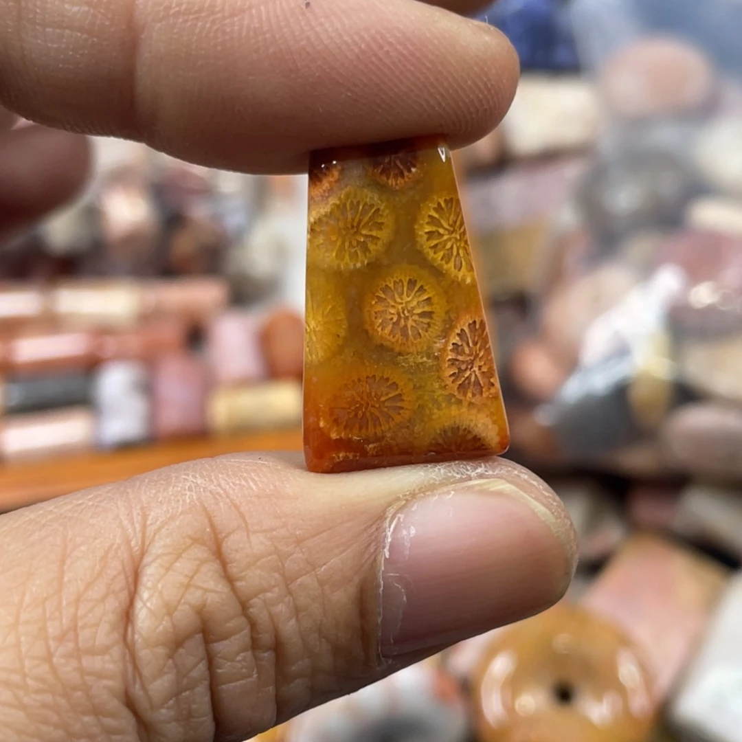 未镶嵌手镯硅化玉