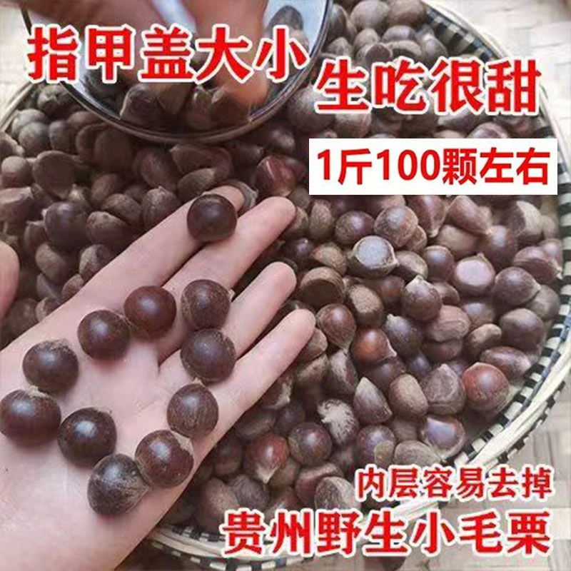 【小板栗野生】贵州板栗新鲜野生板栗生圆栗油栗毛栗子生尖毛栗当季